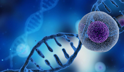 The Science, The Benefits, and The Lifestyle Foundation for Lasting Health